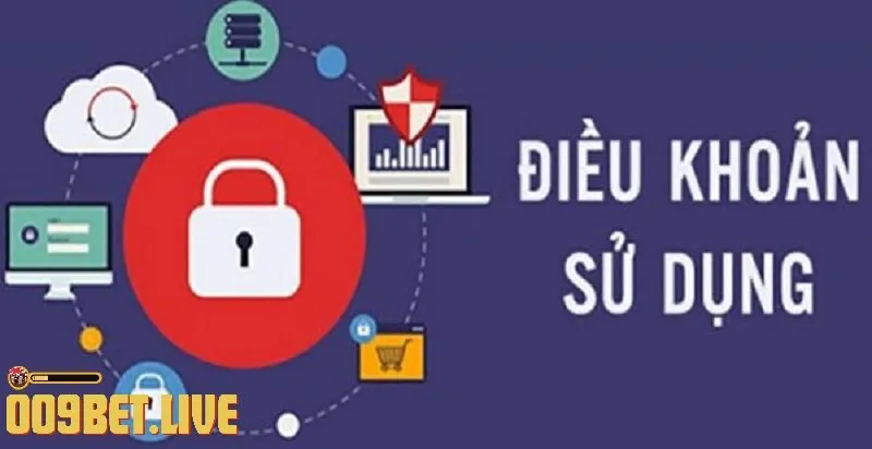 dieu khoan su dung la gi Điều Khoản Sử Dụng Là Gì?