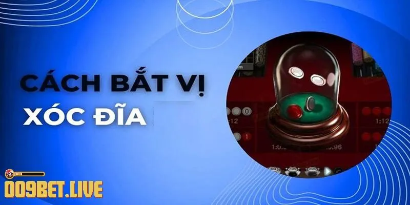 Những điều cần lưu ý khi chơi Xóc Đĩa online